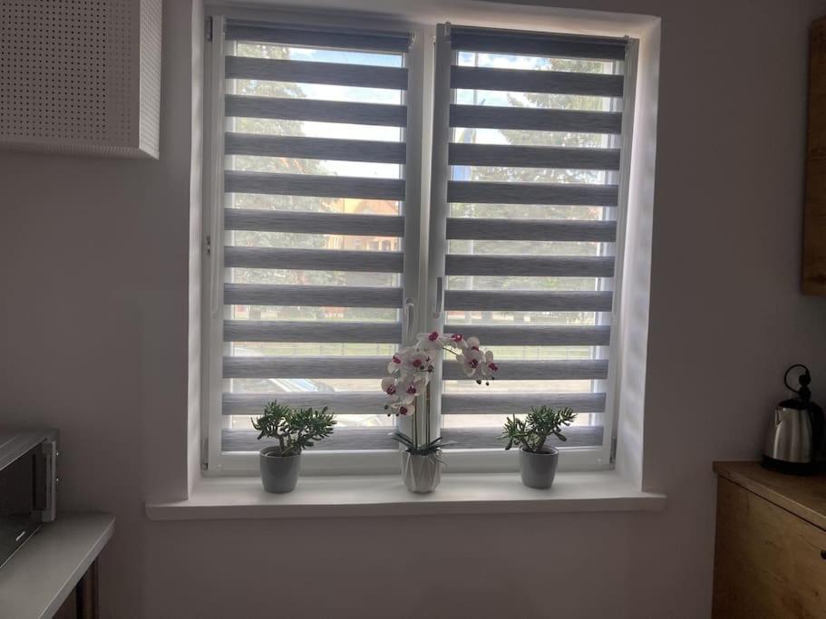 Apartament W Centrum Malborka Buitenkant foto